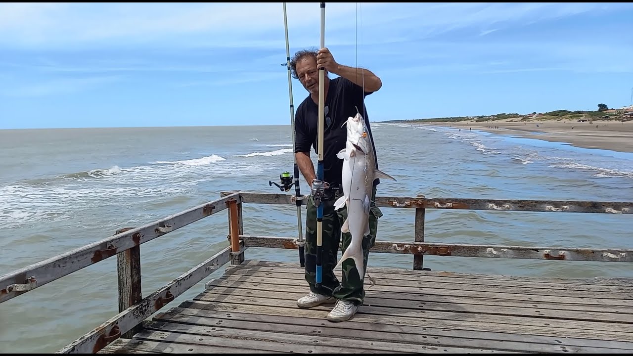 17 diciembre 2025 - Buena pesca con mediomundo y bagres de mar grandes, peritas y gran tormenta