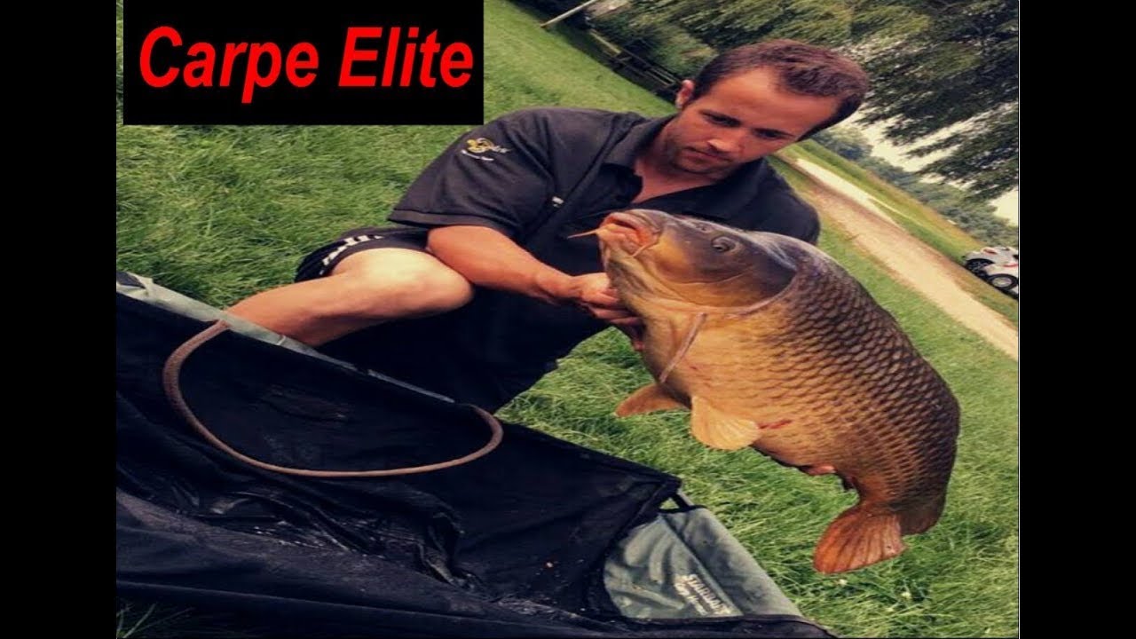 Carpe en rivière [Seille!!!]