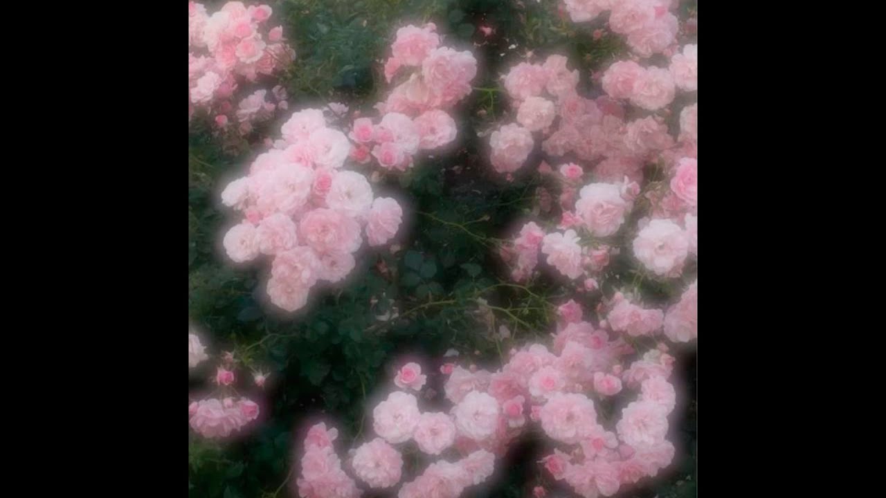 [FREE] вышел покурить Type Beat - 