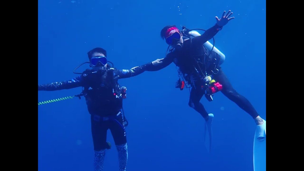 20260111-18モルディブ🇲🇻フォームラ🦈🐯