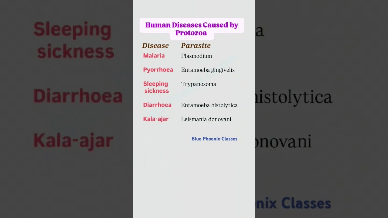 Protozoan Diseases in humans - Science #science #biology #competitiveexams #generalscience #cgl #ssc