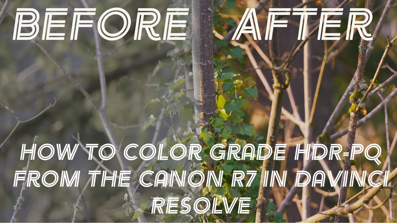 How to Grade HDR-PQ from the Canon R7