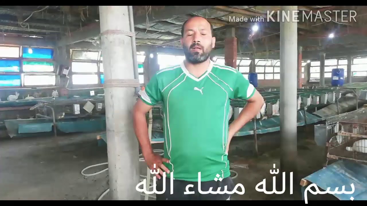 تطهير خطوط مياه الارنب