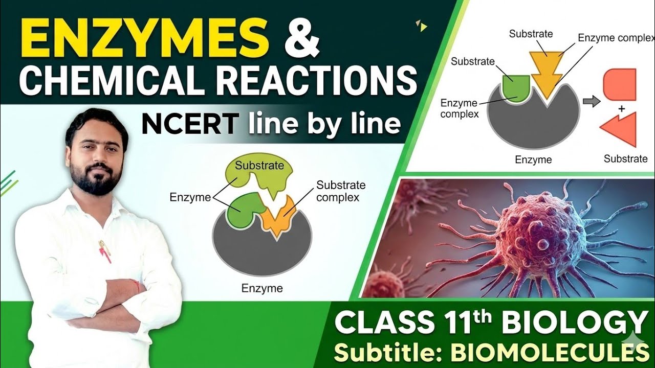 Enzymes and Chemical Reactions | Class 11 Biology | NCERT Line by Line | Chemical Reaction 