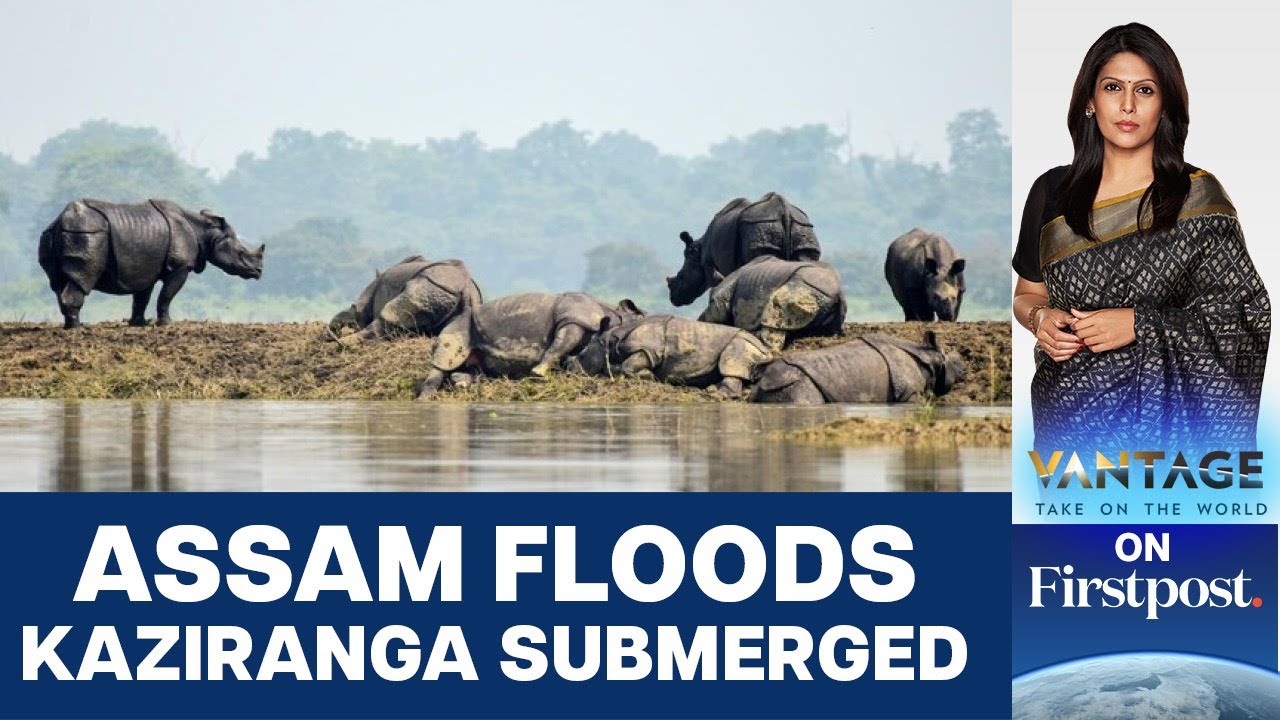 Assam Hit by Severe Floods, 1.6 Million People Affected | Vantage with Palki Sharma
