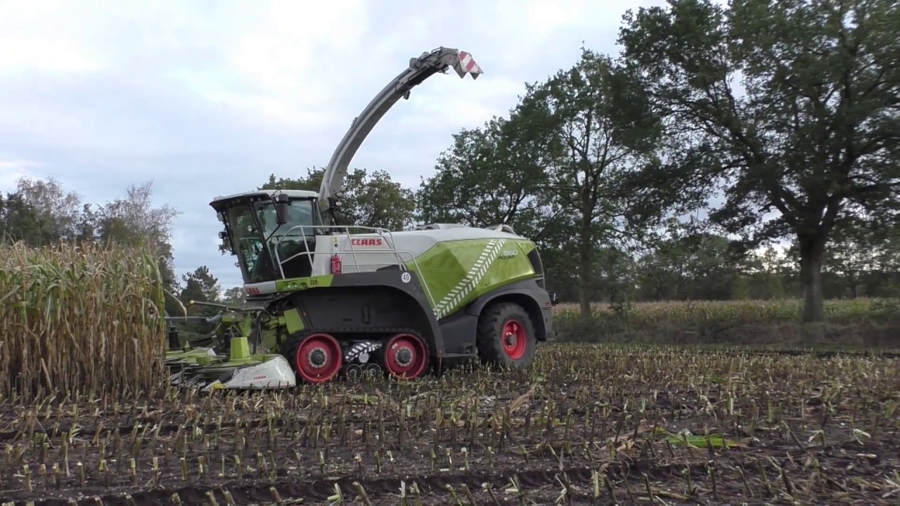 LU der Region - LU Coldewey im Mais 2019 mit Claas Jaguar 960 TT Vorführer