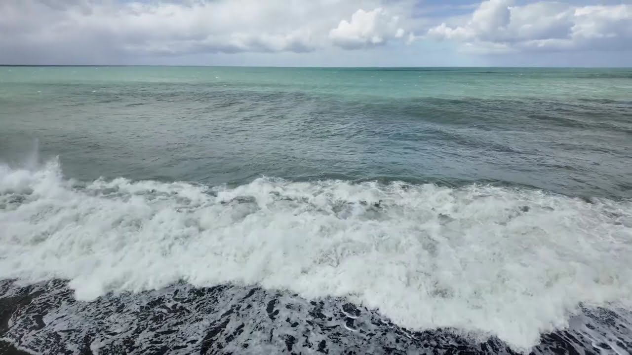 The sounds of Nature 🇳🇿 