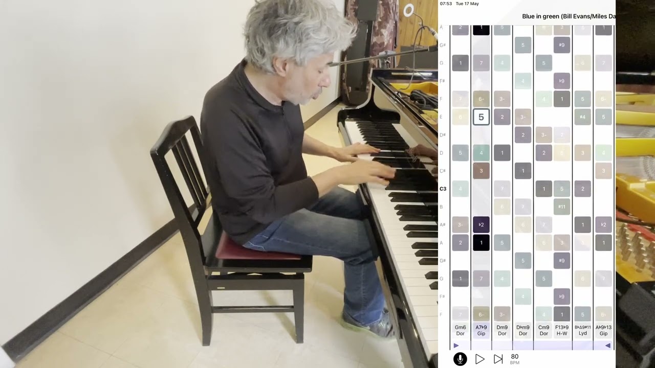 MelodEar-Jean Michel Pilc's review