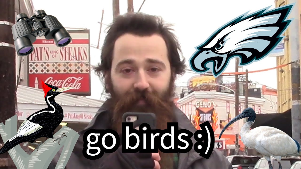 go birds