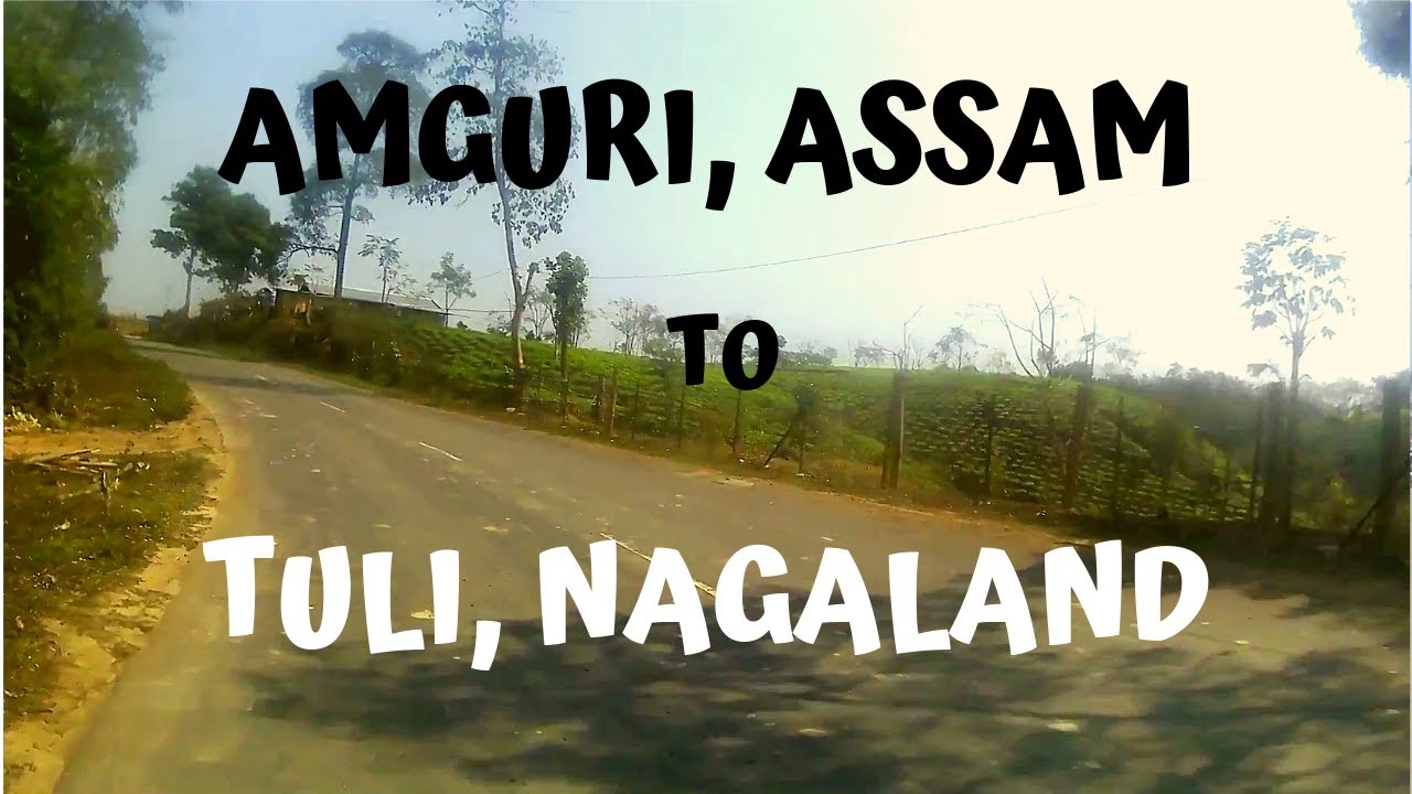Amguri, Assam to Tuli Town, Nagaland, India