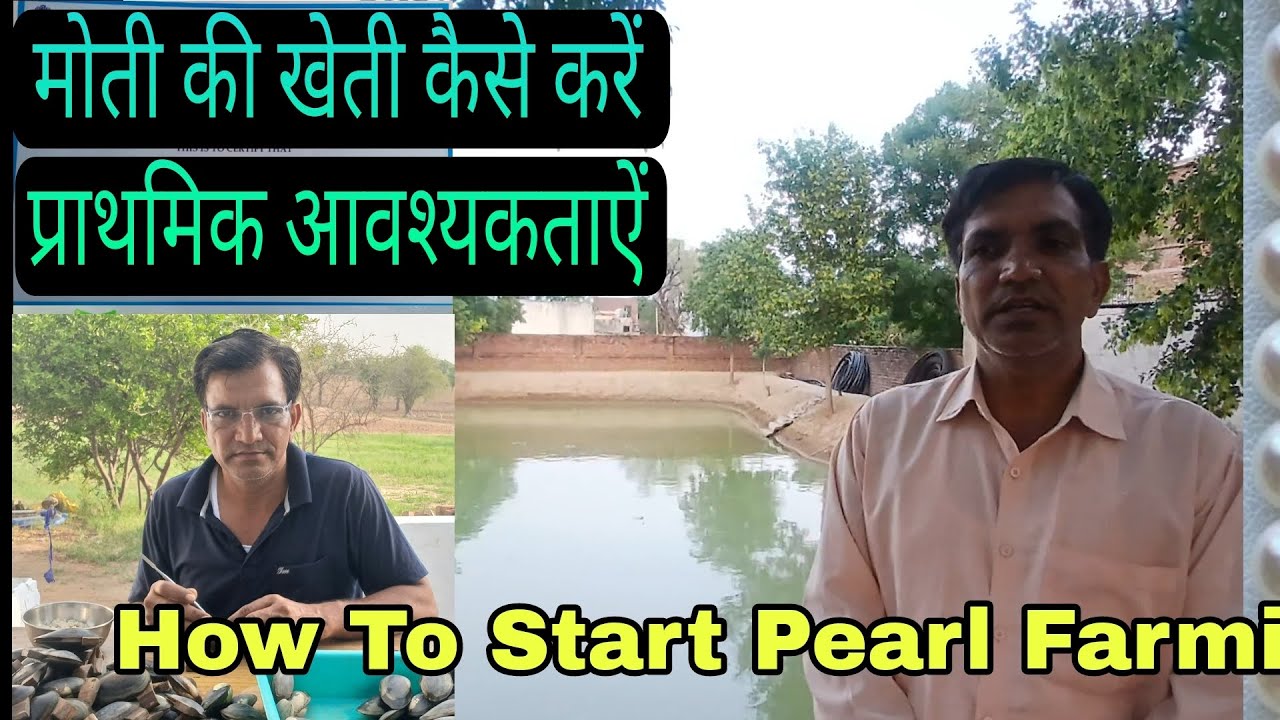 How to start freshwater pearl Farming 9210215738