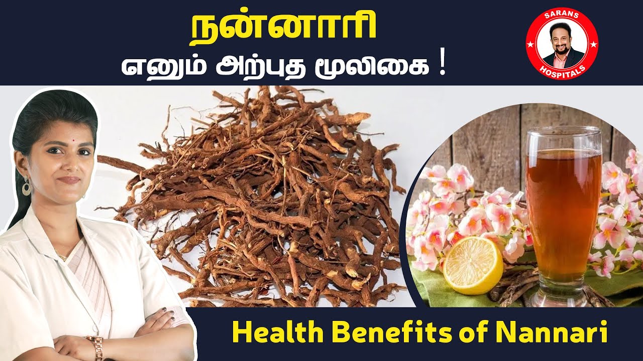 நன்னாரி எனும் அற்புத மூலிகை ! Health benefits of Nannari | Naruneendi | Nannari | Health benefits