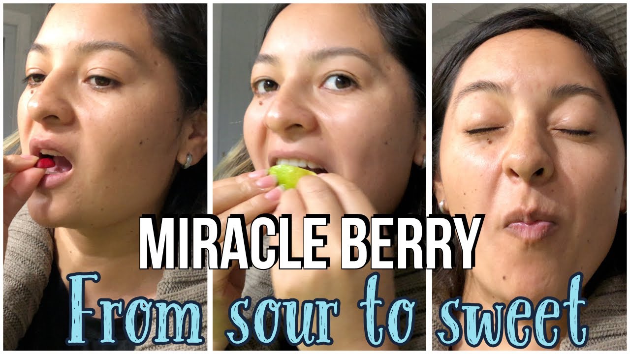 Miracle Berry from Amazon review/  Miracle Berries do they really work