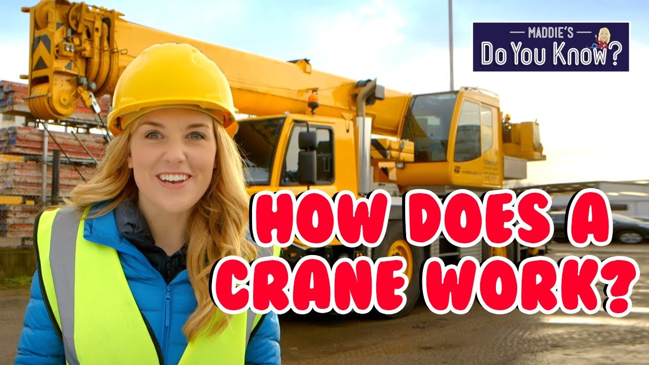 How does a Crane work? 🏗️ Maddie's Do You Know?