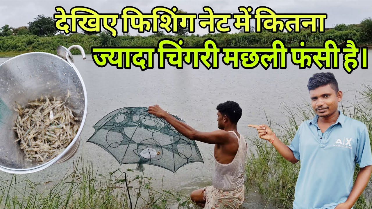 फिशिंग नेट जाल से बहुत ज्यादा चिंगरी कैसे फंसी?।#desifishing #fishingvideo @Desi_Fishing23 