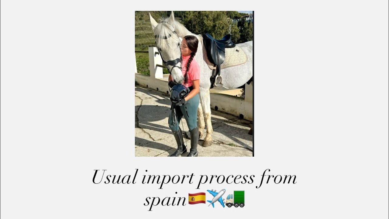 Usual import process from 🇪🇸✈️🚛