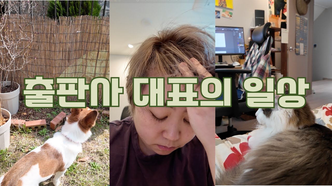 1인 출판사 대표의 오후 #일상 #일상브이로그 #1인출판사