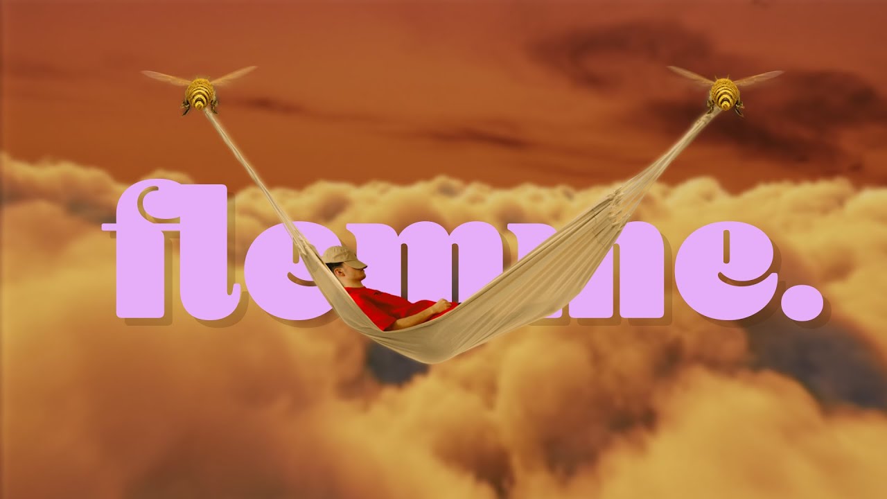 SEB - Flemme (Lyrics Video)