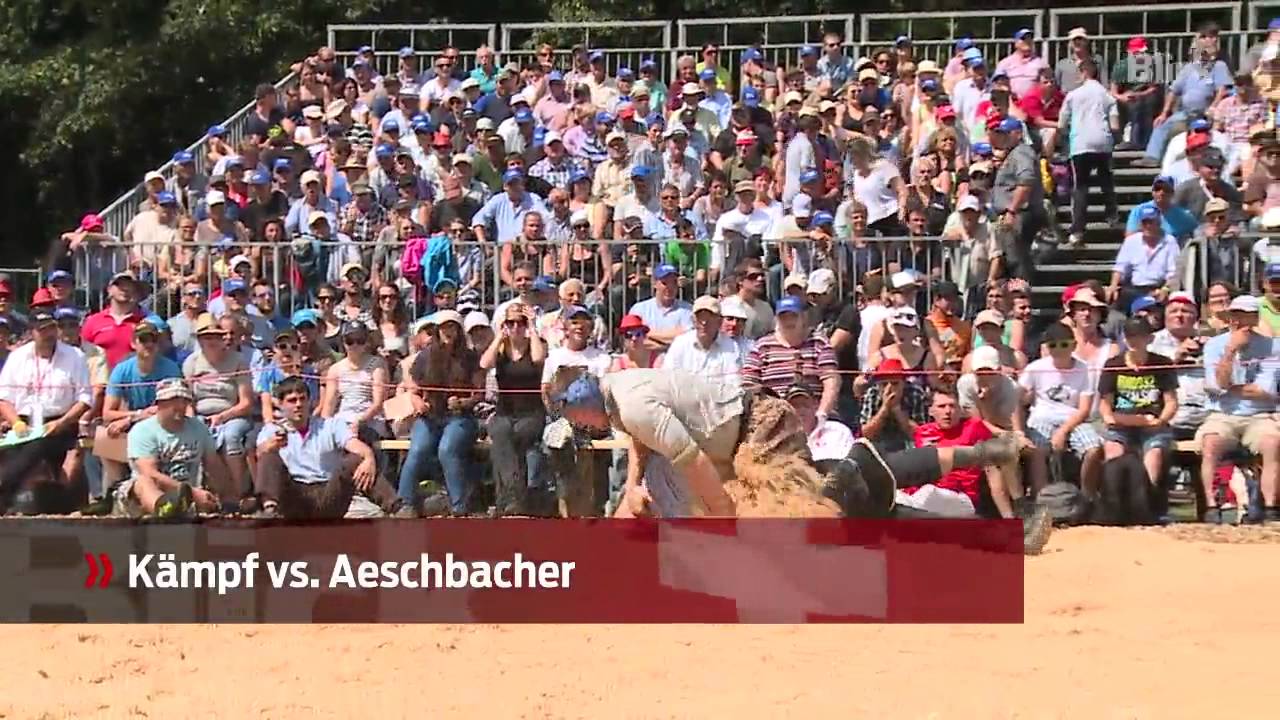 Die Highlights im Video: Florian Gnägi siegt am Berner Kantonalen Schwingfest