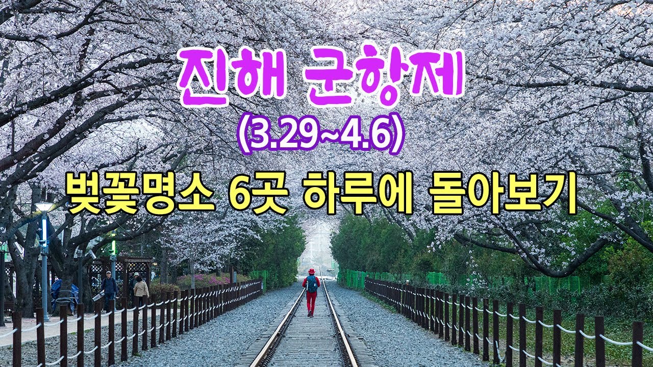 2025년 진해 군항제 벚꽃명소 6곳을 하루에 돌아보기/#진해군항제  #진해드림로드  #진해경화역  #진해벚꽃