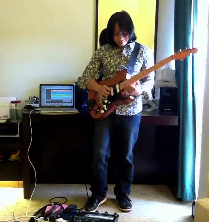 WildFlower Skylark! DanielBilly's Guitar Instrumental Ver