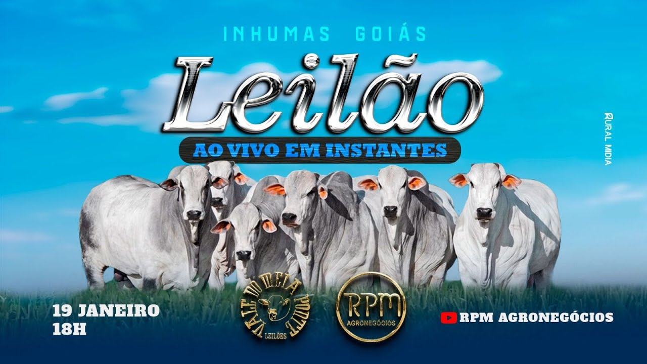 VALE DO MEIA PONTE LEILÕES - INHUMAS - LEILÃO VIRTUAL E PRESENCIAL - 19 DE JANEIRO DE 2026.
