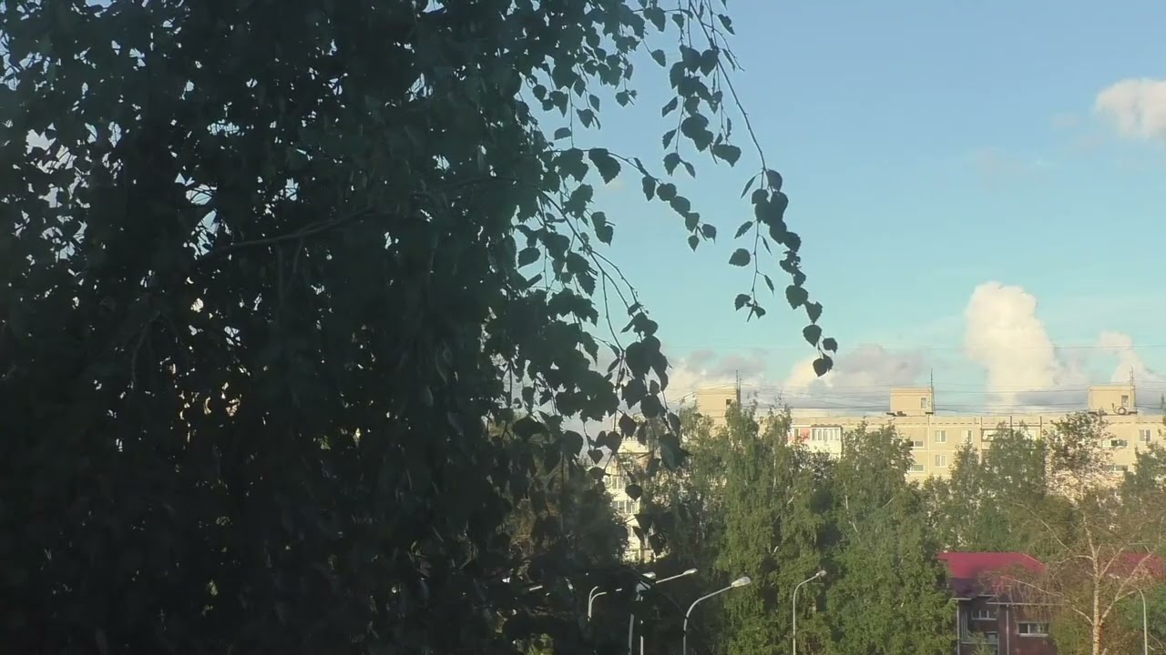 Городская аудиозапись. Вечерний двор. Летний город вечером. Soundscapes. City field recording.