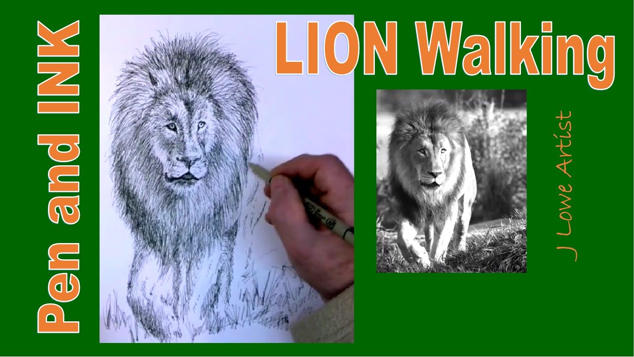 How to Draw Lion Walking, Pen and Ink Tutorial for Beginners