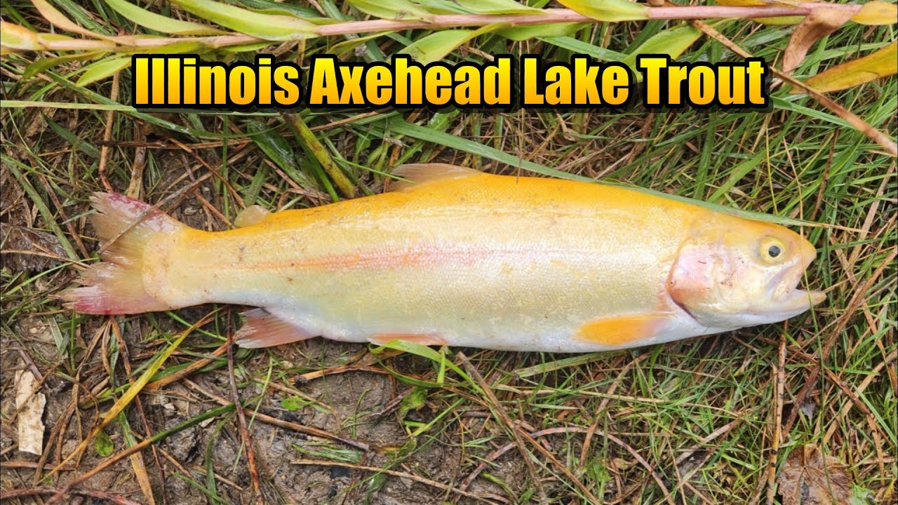 Illinois Inland Fall Trout Fishing 2025