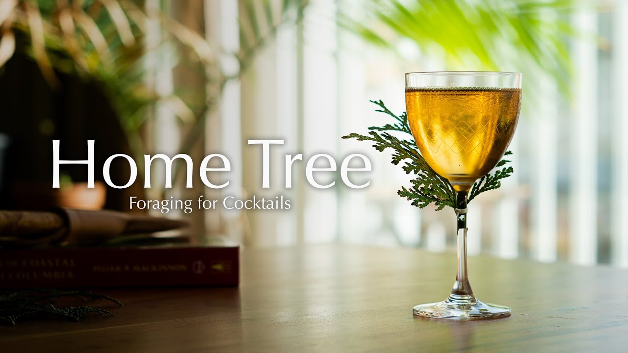 Foraging for Cocktails - Red Cedar Vodka Infusion