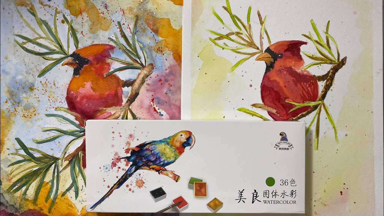 Mei Liang review | WATERCOLOUR PAINT ALONG WITH ME