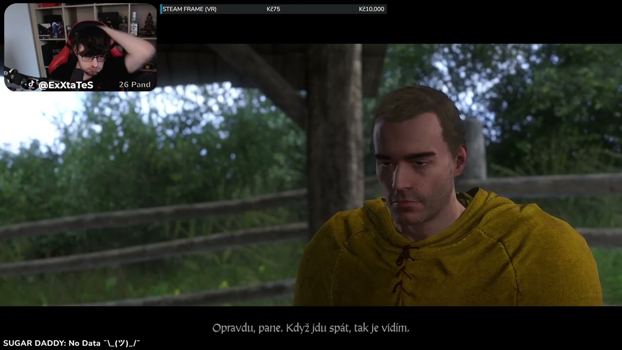⚔️ Jindřich se stal mnichem ⚔️ #20 ⚔️ Záznam streamu