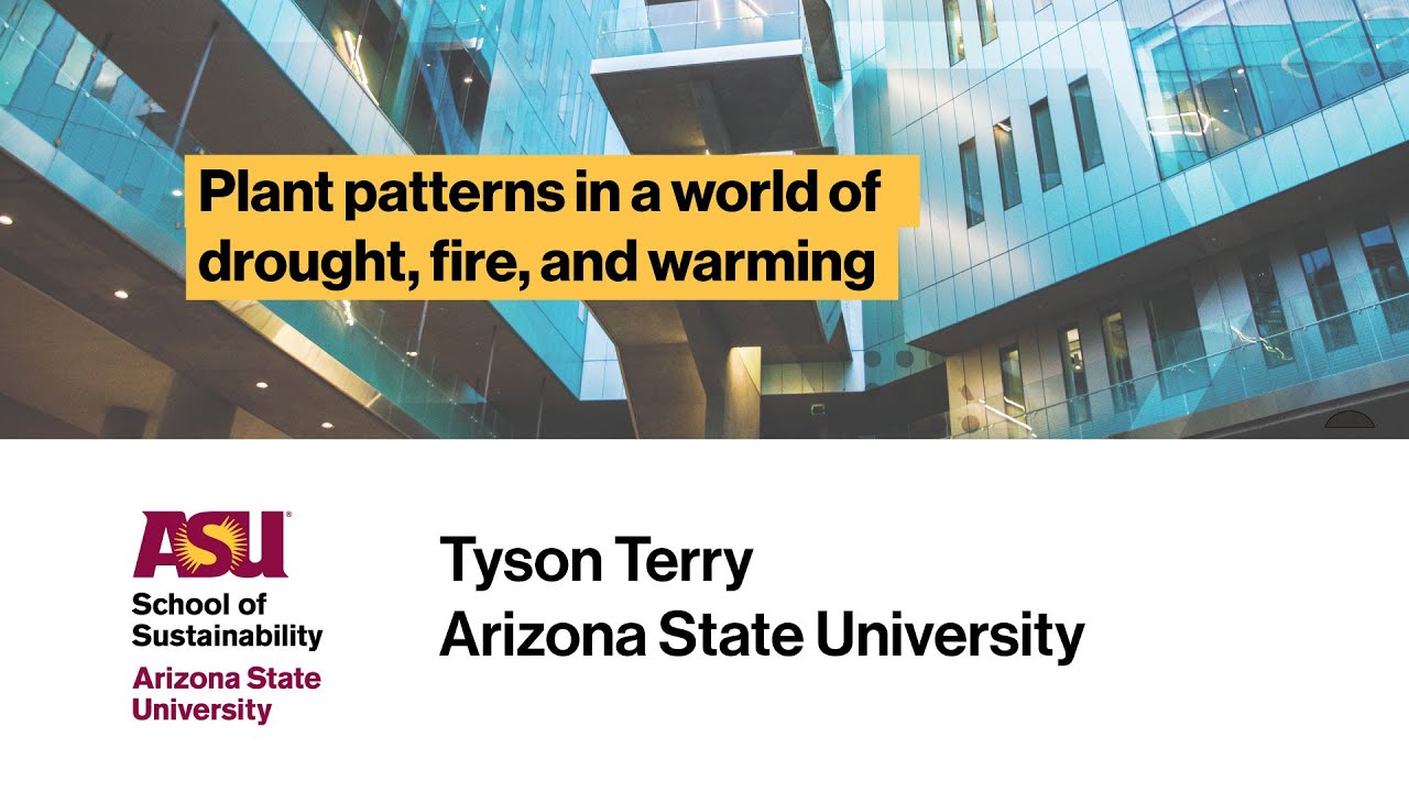 Plant patterns in a world of drought, fire, and warming