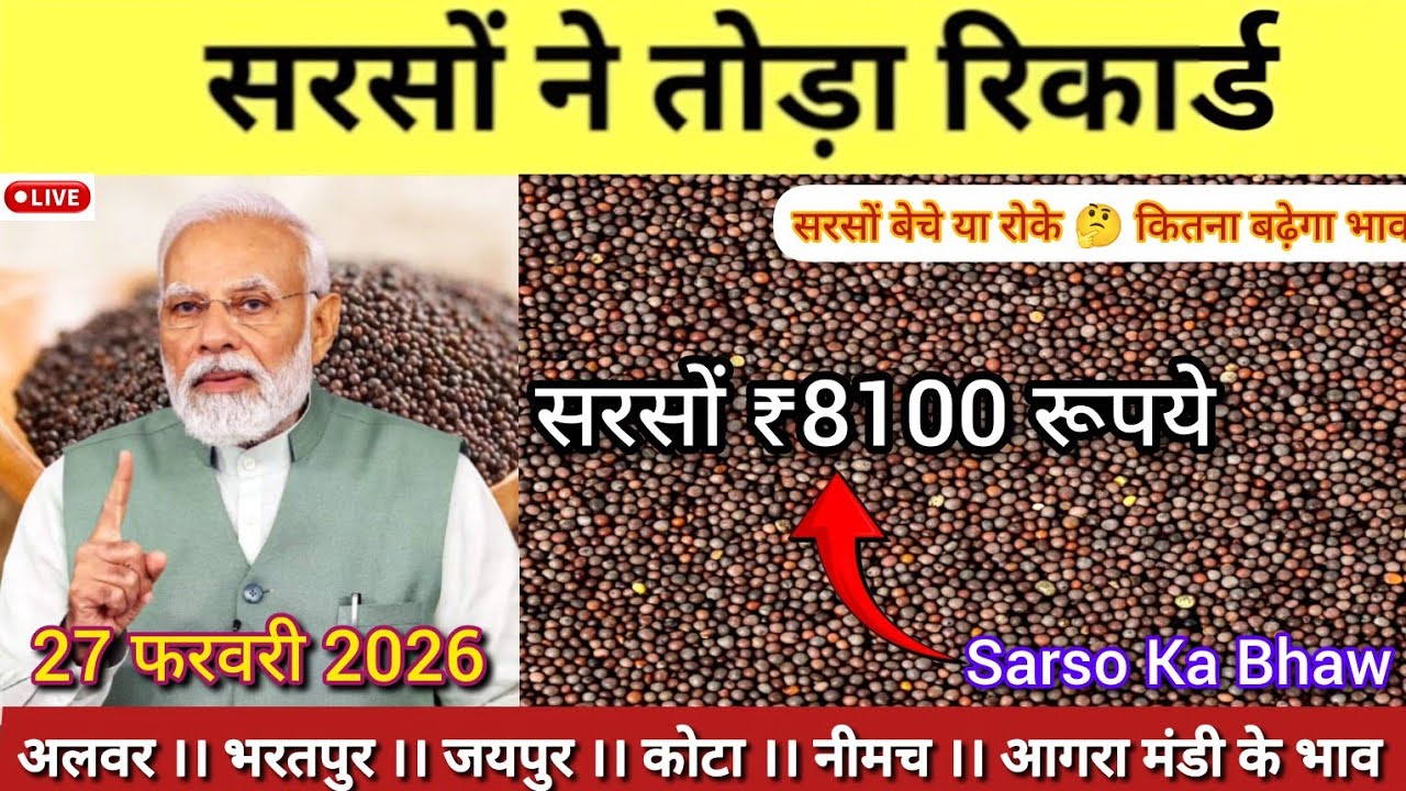 सरसों ₹8100 पार 🔥 रिकॉर्ड तोड़ा | अलवर जयपुर कोटा मंडी भाव 27 फरवरी 2026 भाव | Sarso Ka Bhaw