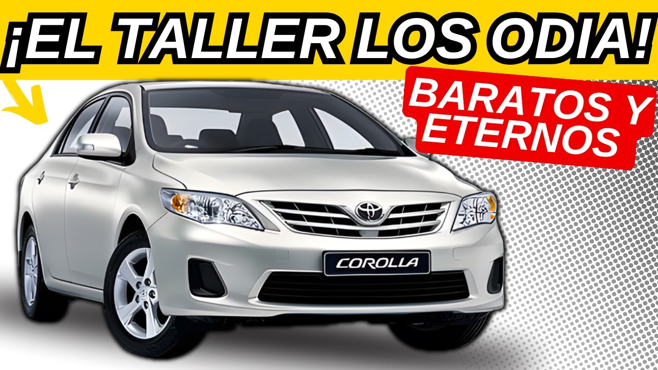 5 AUTOS BARATOS QUE LOS MECÁNICOS AMAN… Y TÚ AÚN NO CONOCES