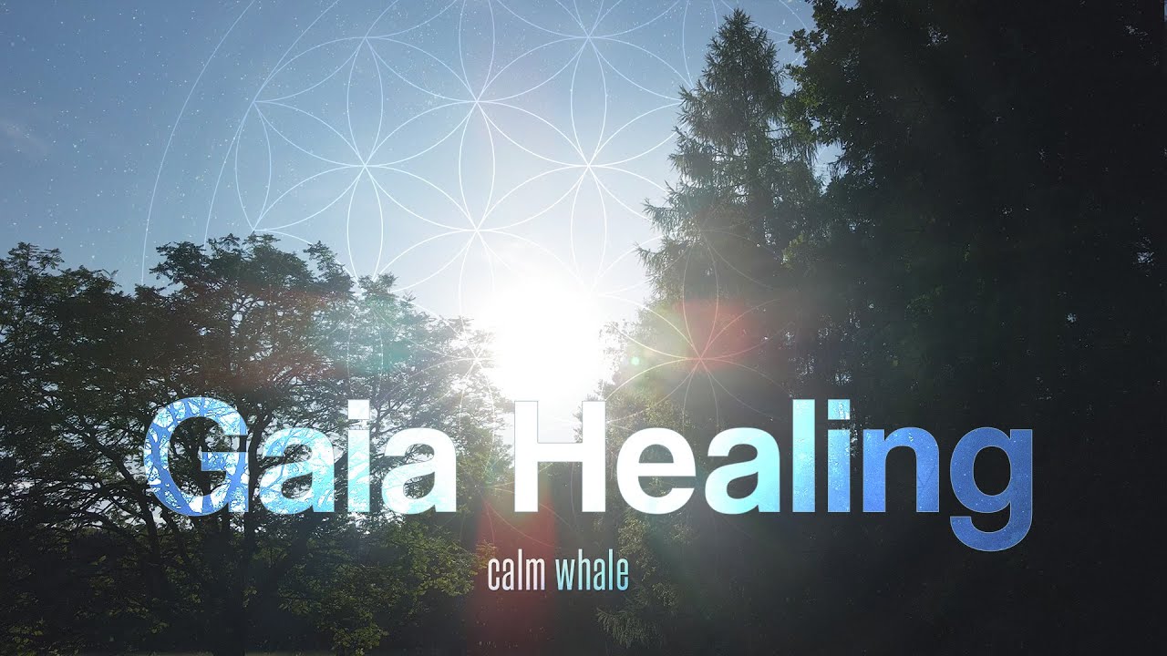 Gaia Healing 🌳 Slow Shaman Drum & RAV : Tantra Music : Solar Plexus Chakra Meditation