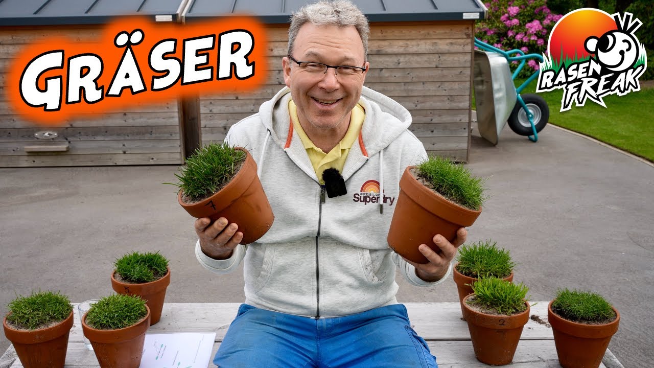 Die wichtigsten GRÄSER für Rasenflächen. Eine kleine Gräserkunde mit dem Rasenfreak.