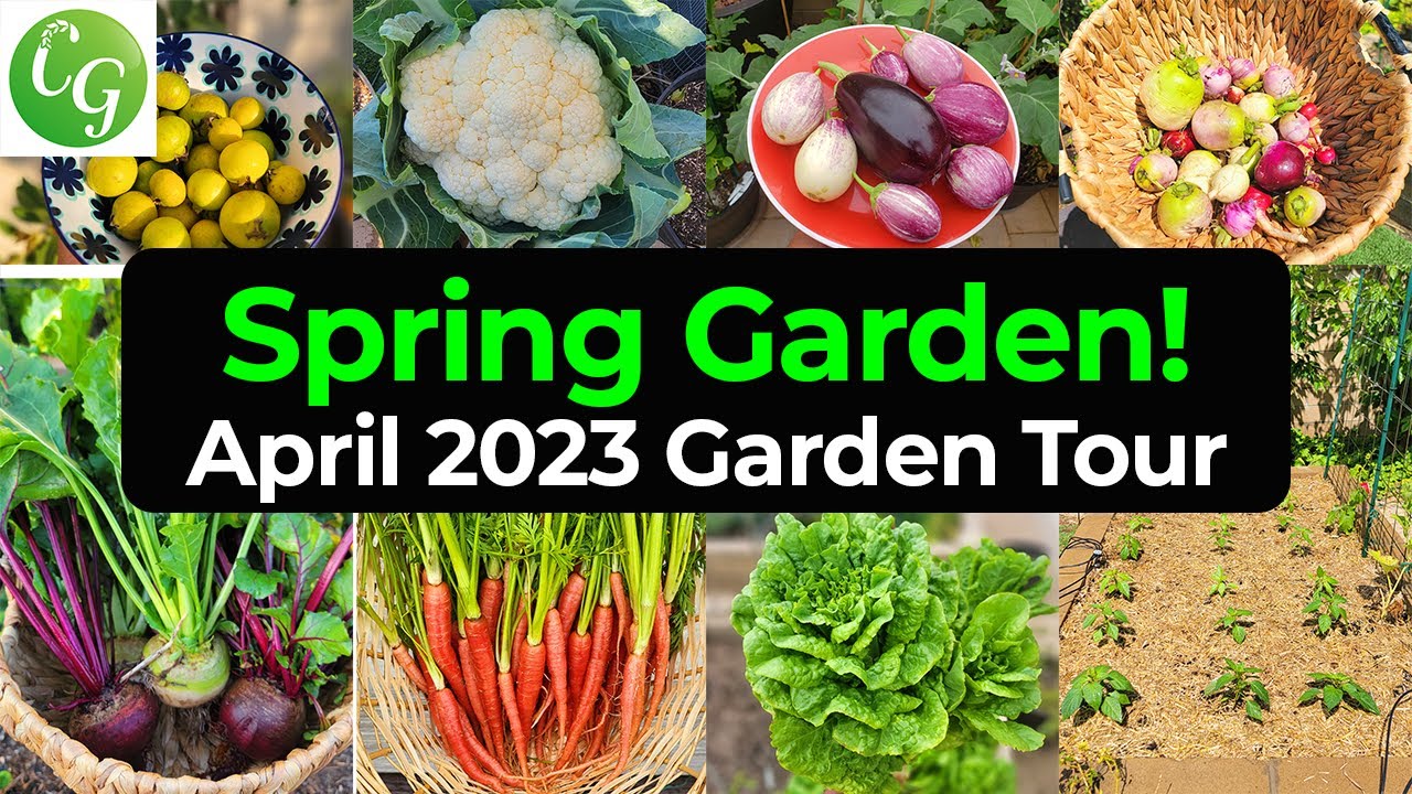 California Springtime Garden Revealed: Uncovering Nature's Secrets!