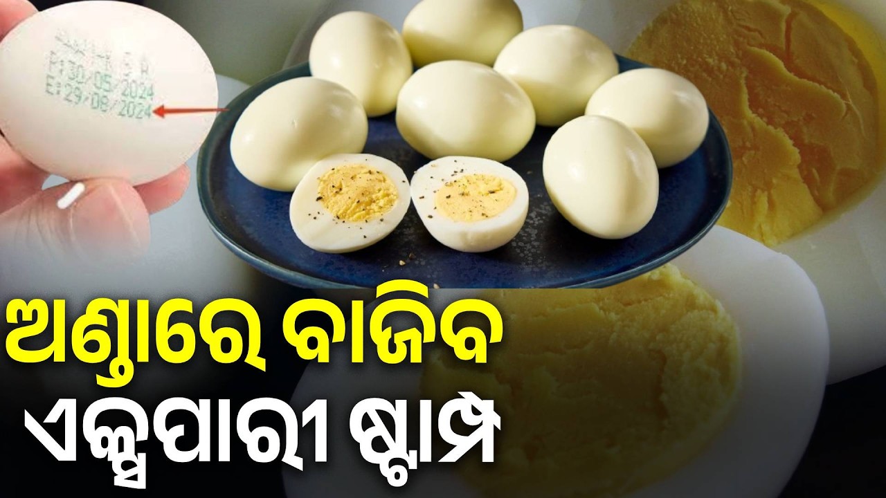 ଏବେ ଜଣାପଡ଼ି ଯିବ କେତେ ତାଜା ଅଛି ଅଣ୍ଡା   || Knews Odisha