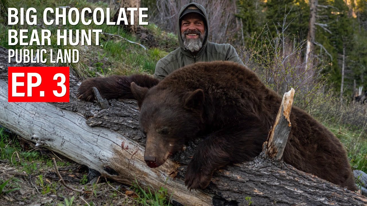 SUCCESS! CHOCOLATE BLACK BEAR! | EP. 3 | BEAR HUNT | PUBLIC LAND