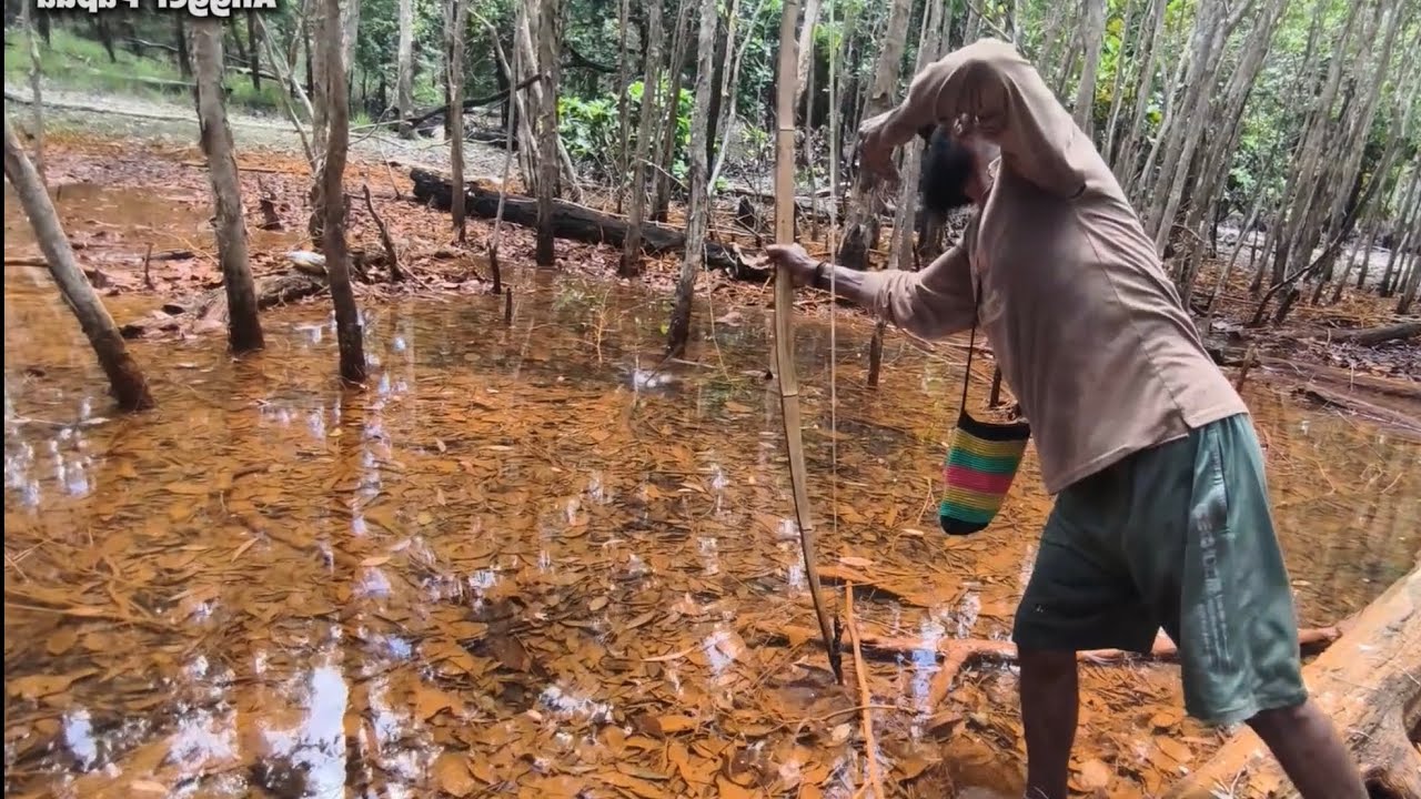 Hunting Snakehead Fish in South Papua Using Arrows