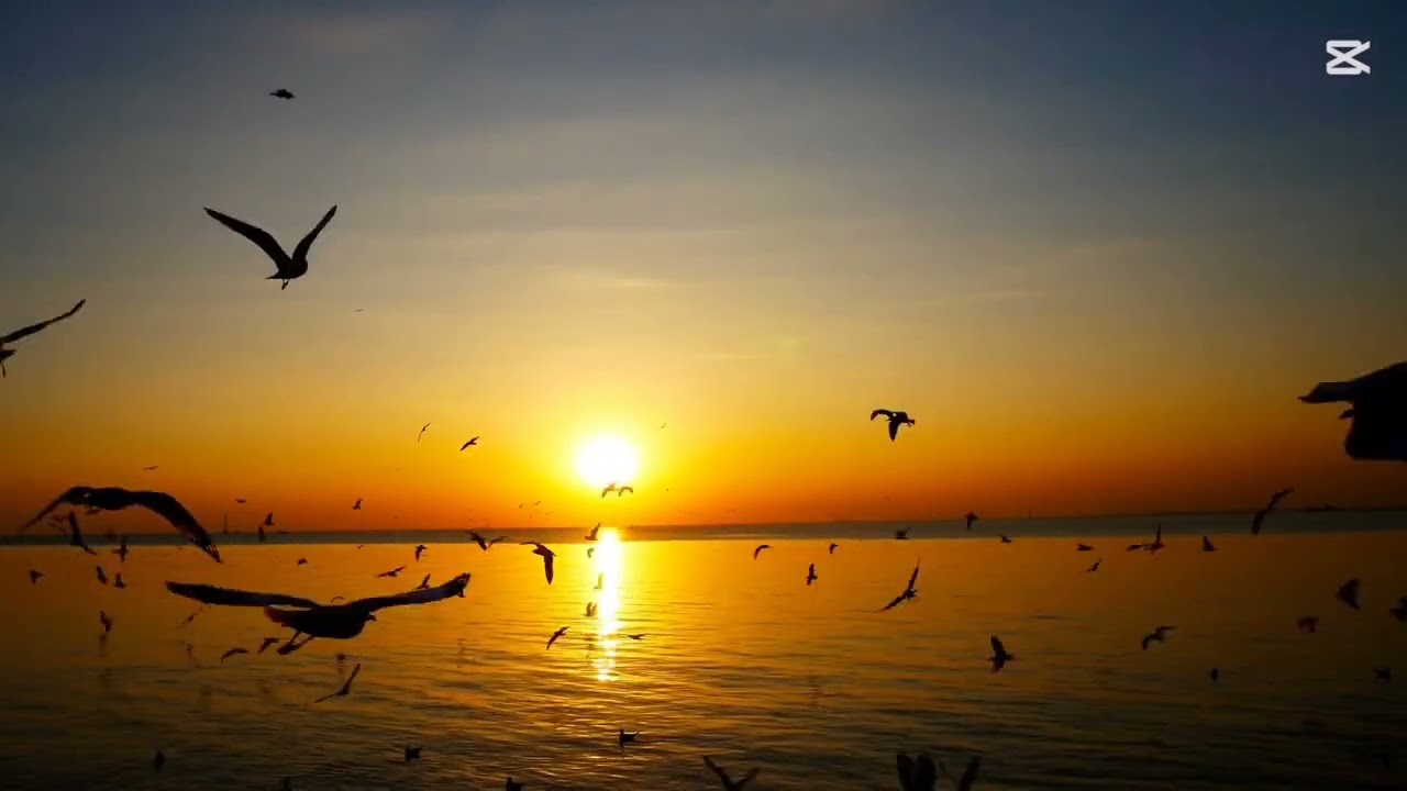 Аби Мунце Ако искаш да ме имаш финал