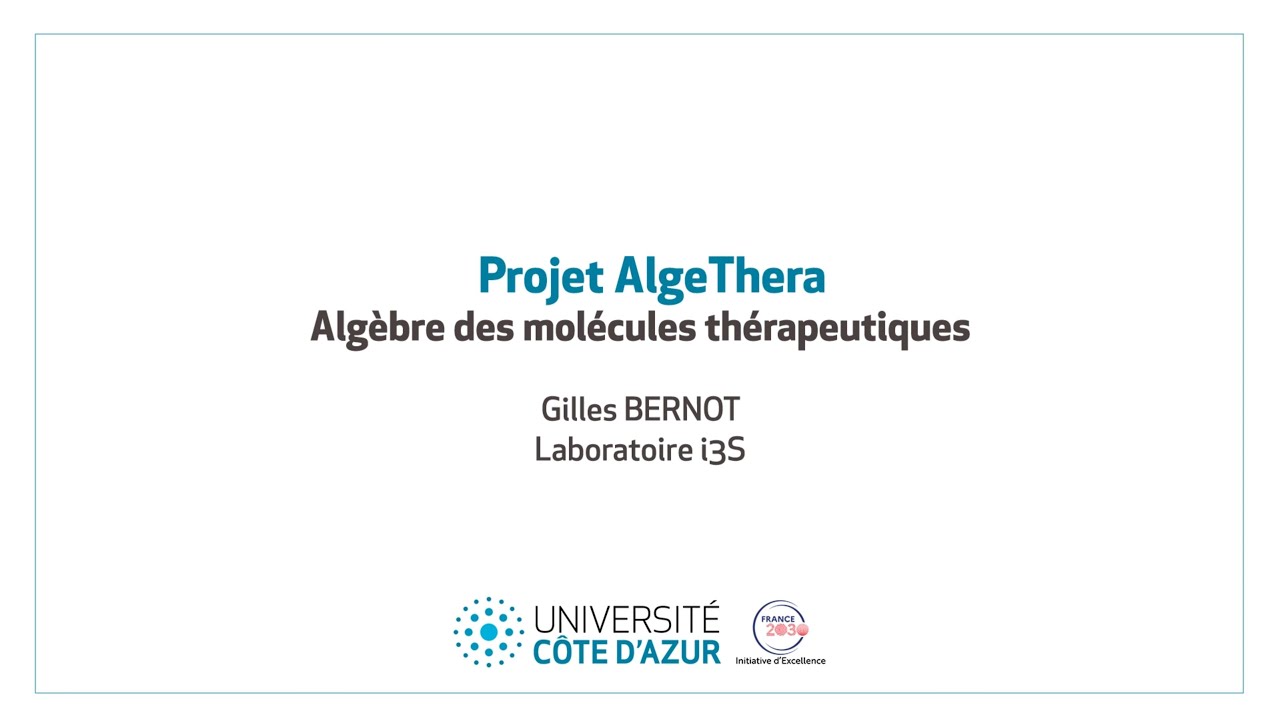 RISE Academy Research Forum 2024 –AlgeThera : An algebraic approach to therapeutic molecules (i3S)