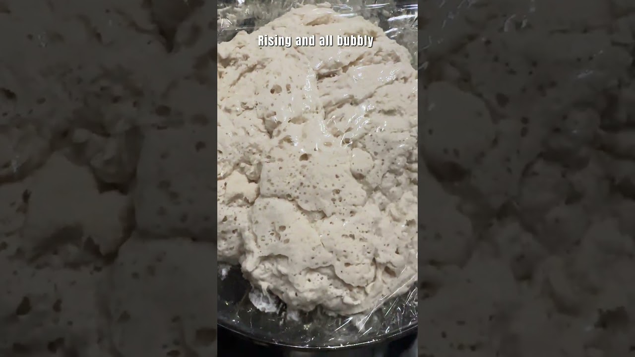 How to make the easiest bread!! 