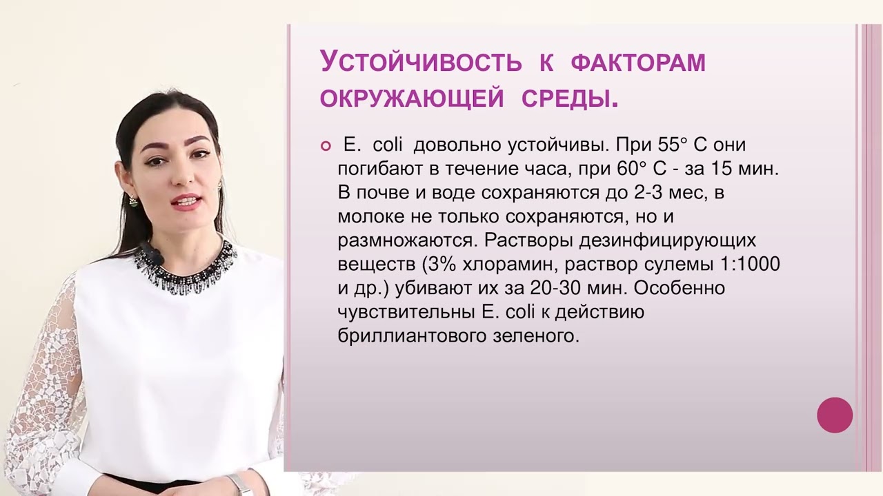 Кишечные инфекции: Escherichia coli.