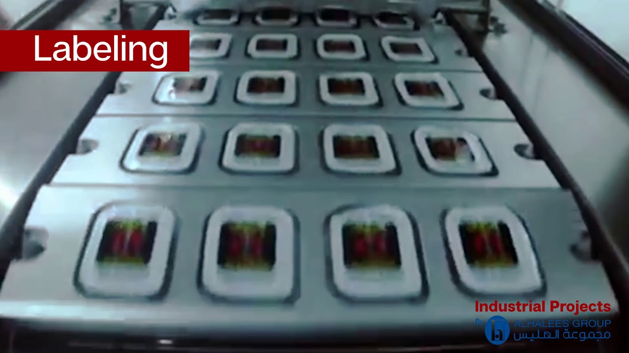 Cup Filling & Sealing Machine (Garlic Sauce)