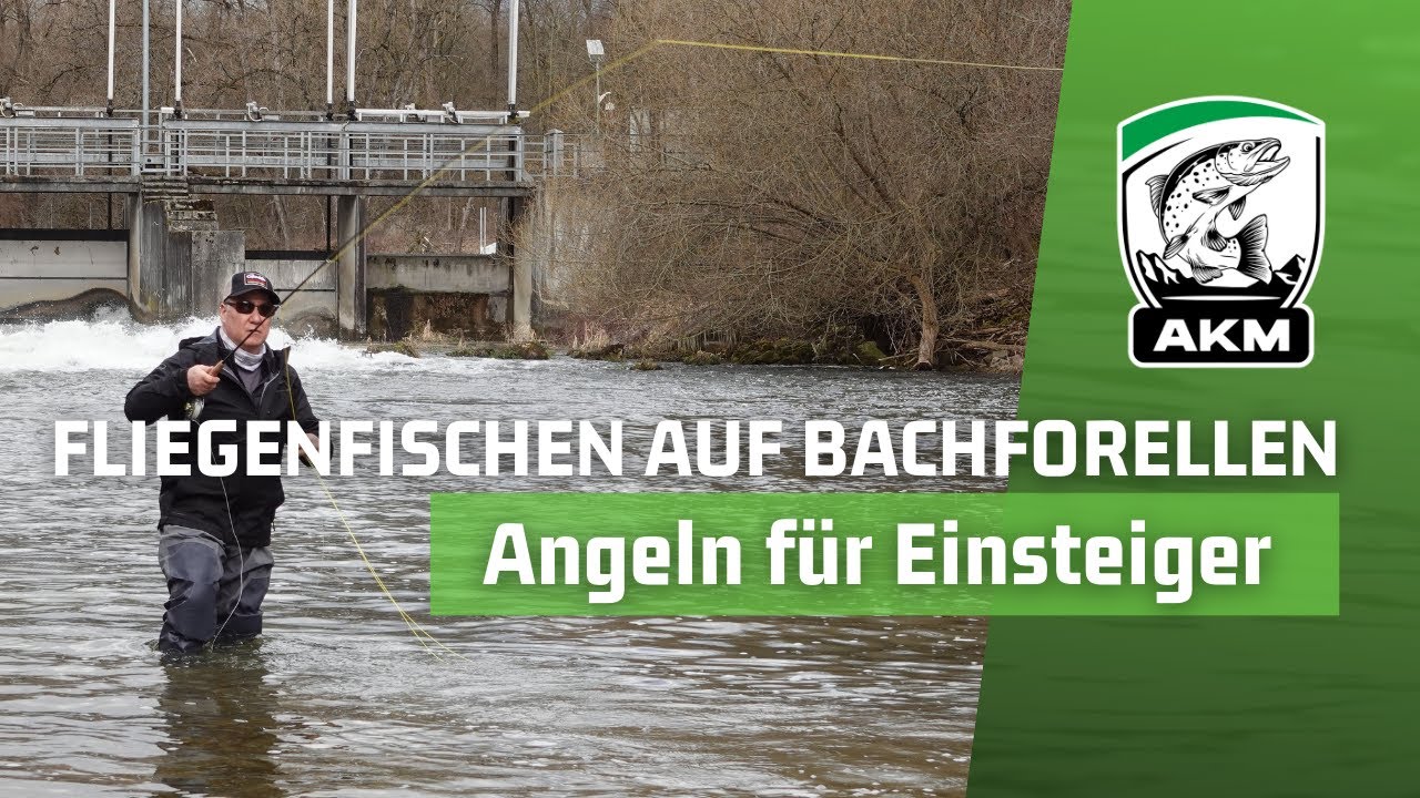 Fliegenfischen auf Bachforellen: Die Basics | Angeln für Einsteiger