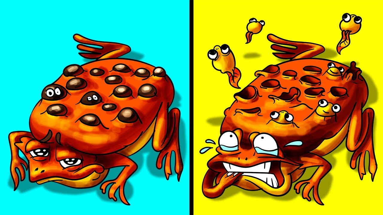 As Melhores Mães Do Reino Animal