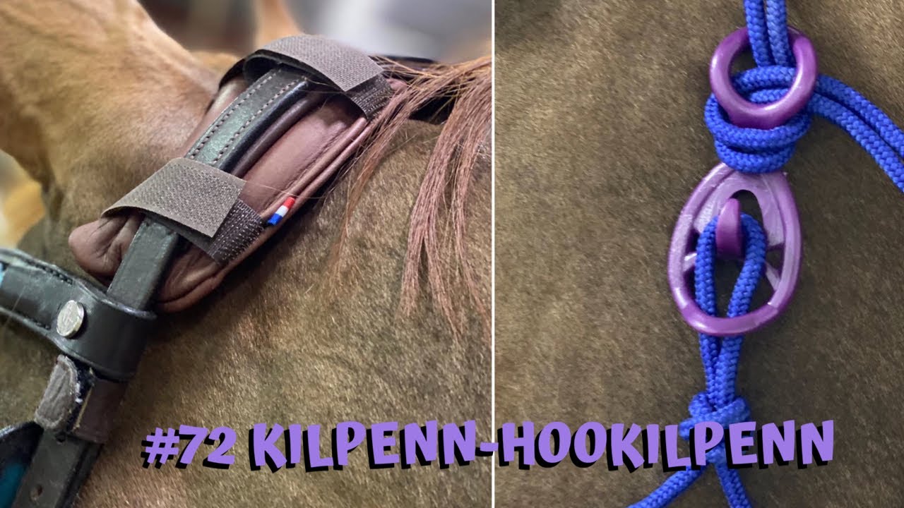 Kilpenn - Hookilpenn