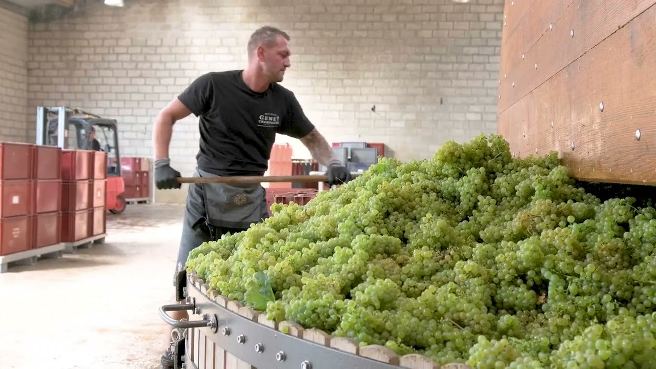 Champagne Michel Genet - Vendanges 2022